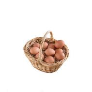 تخم مرغ محلی