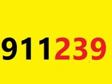09112391656 در شیپور