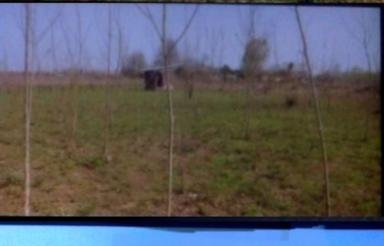 فروش فوری زمین 500 متر