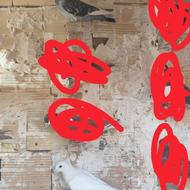 کفتر و کبوتر