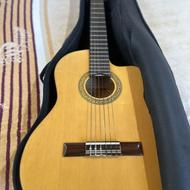 گیتار هافنر آلمان پیکاپ دار