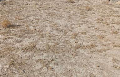 زمین 200 متر مسکونی