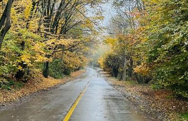 فروش 20 هکتار زمین کشاورزی