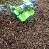 هرس واصلاح سمپاشی وکودهی وکاشت وقطع ووو