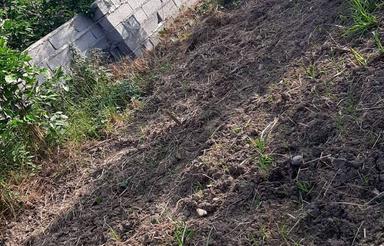 فروش 1260 متر باغ مرکبات در قراخیل