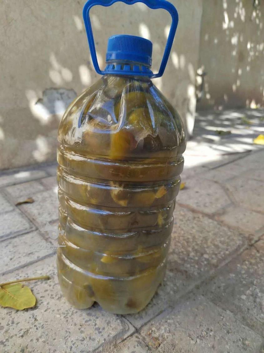 فروش خیار شور