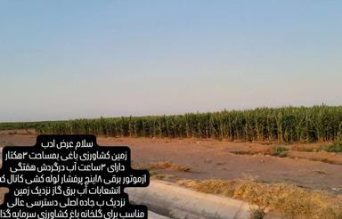 یک هکتار زمین باغی کشاورزی برا کاشت سرمایه