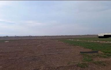 کلاکوب 1130متر 50متربه حاشیه اصلی