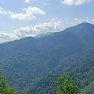 330 متر زمین وسط محله آب برق گاز سر ملک