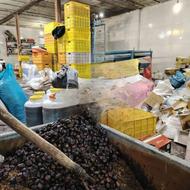 خرمای ترش و ضایعاتی