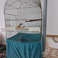 قفس بزرگ پرنده
