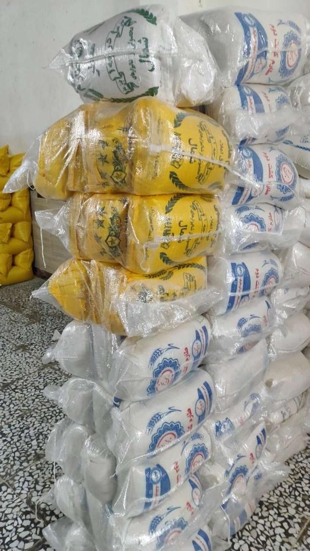 کشت دوم،طارم هاشمی،فجر،شیرودی،لاشه هاشمی