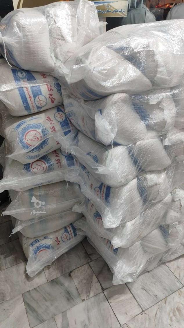 کشت دوم،طارم هاشمی،فجر،شیرودی،لاشه هاشمی