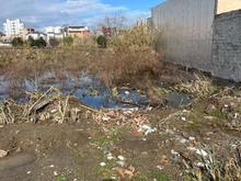 فروش زمین مسکونی 280 متر در تشبندان در شیپور