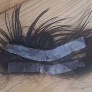 پورتز مو شقیقه نو نو