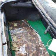 آردی یشمی رنگ مدل سال 1385 انژکتوری کولر گازی ال پی جی