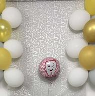 پرده زبرا دومکانیزه طرح طوسی درحدنو