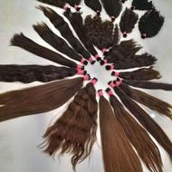 خرید موی طبیعی بانوان با بهترین قیمت