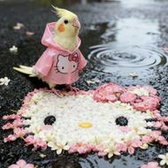 تو خونه لم بده و کسب درآمد کن