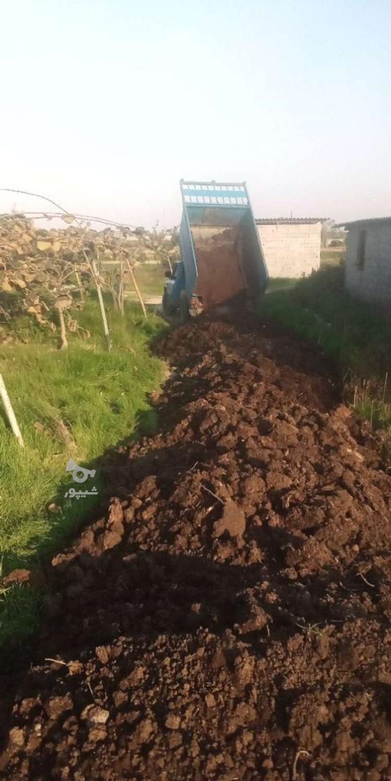 فروش کود حیوانی تازه قدیمی گاوی گوسفندی بانیسان کمپرسی