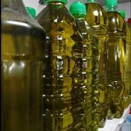 روغن زیتون اعلا رودبار