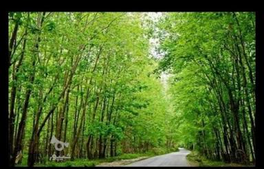 260متر زمین شهرکی