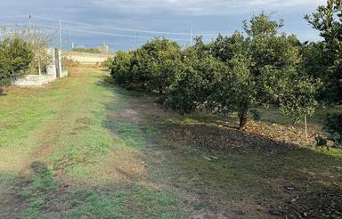 فروش زمین کشاورزی 520 متر در کفشگرکلا ارطه