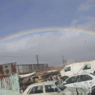 فروش سمندقابل شماره گزاری سنددار93