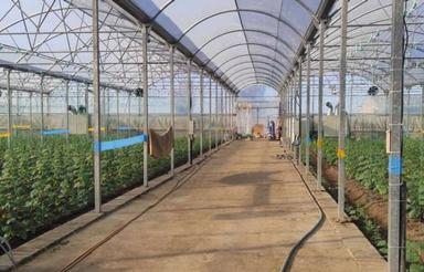 گلخانه دامداری