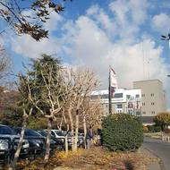 کار در فضای سبز