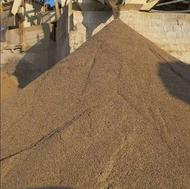 ماسه،نخودی