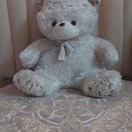 خرس خیلی بزرگ سفید رنگ