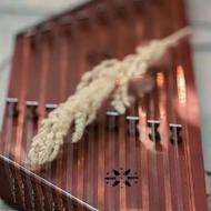 آموزش سنتور