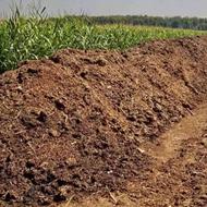 فروش کود حیوانی گوسفند و بز |نمایشگاه دام مازندران