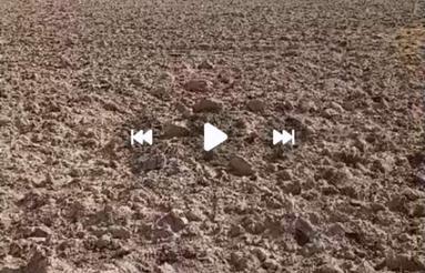 4600 متر زمین کشاورزی بالاترازطالقانی