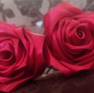 گل ربانی زیبا