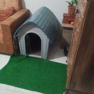 یک خونه خوب عالی برای پت کسی خواست میتونه بیاد دیدن کنه