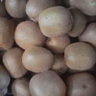 کیوی قیمت 60