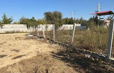 فروش 200 متر باغچه ای بقیمت پلاک دوم جاده شاکله