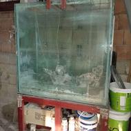 اکواریوم ماهی باوسایل