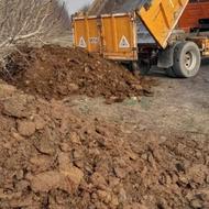 کود حیوانی برای باغات کشاورزی پهین گوسفند