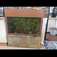فروش اکواریوم