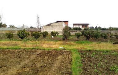 580 متر باغ مرکبات