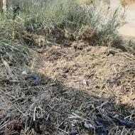 گل کاری وهرس