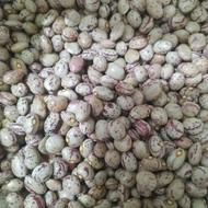 لوبیا چیتی و لوبیا قرمز