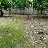 فروش 350 متر زمین فوذی