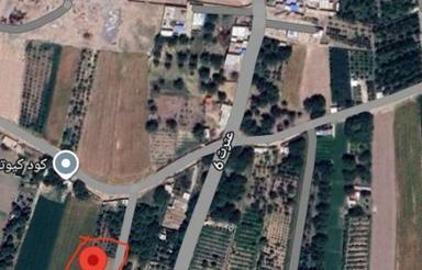 زمین باغ به متراژ 802 ، روستای زاوشت