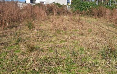 400 متر زمین و باغ