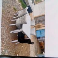 نیازمند نیروی کار ساده برای تولیدی مبل