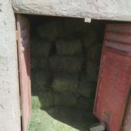 فروشی یونجه